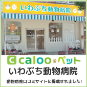 caloopet いわぶち動物病院